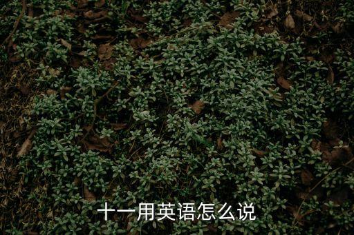 十一用英文怎么說，11的英語怎么說