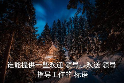 誰能提供一些歡迎 領導、歡送 領導 指導工作的 標語