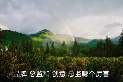 品牌 總監(jiān)和 創(chuàng)意 總監(jiān)哪個厲害