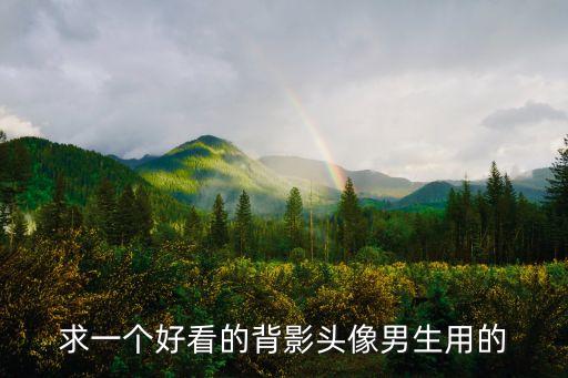 求一個好看的背影頭像男生用的