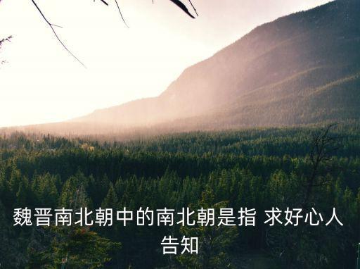 魏晉南北朝中的南北朝是指 求好心人告知