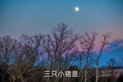 三只小豬是