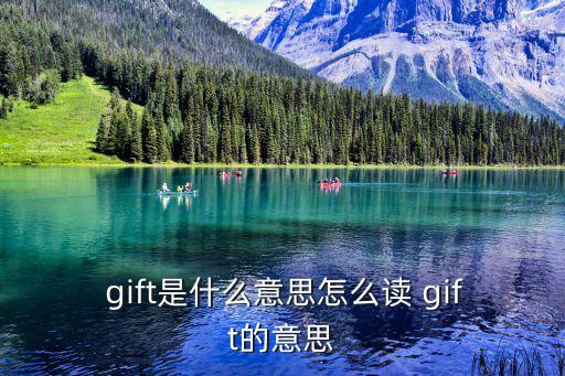 gift,一文讀懂!英美日韓三國籍留學生作文