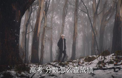  高考 分數怎么查成績