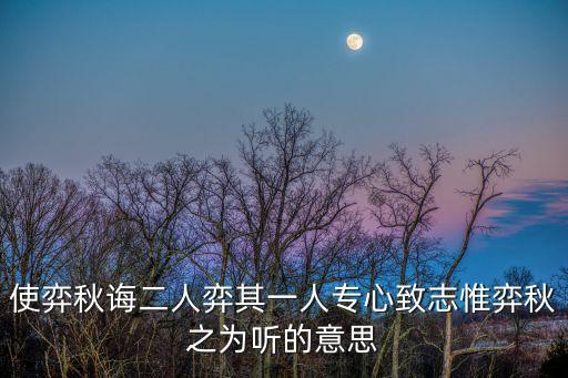 其一人專心致志，其一人專心致志的其意思