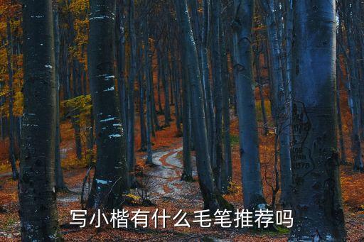 寫小楷有什么毛筆推薦嗎