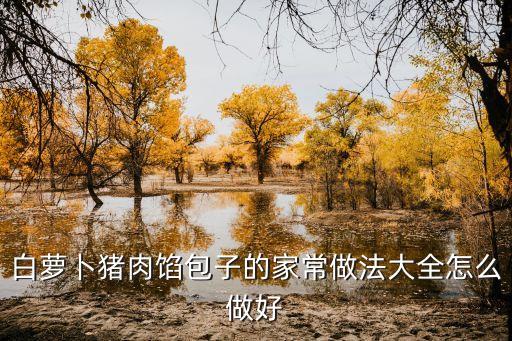 白蘿卜豬肉餡包子的家常做法大全怎么做好