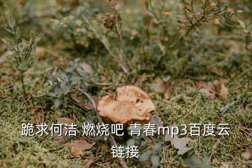 燃燒吧青春,《旋風少女》主題曲下載鏈接: