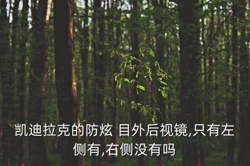 目外,什么車有防眩目外后視鏡?看這里!