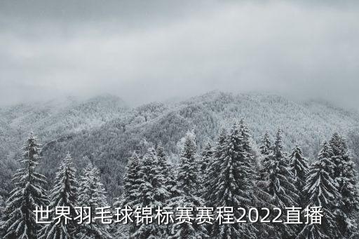 羽毛球賽程,2020年世界羽毛球錦標賽直播如下