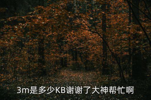 3m是多少KB謝謝了大神幫忙啊