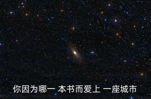 你因為哪一 本書而愛上 一座城市