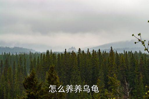 怎么養(yǎng)養(yǎng)烏龜