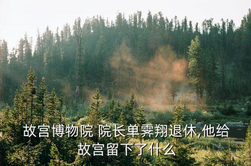  故宮博物院 院長單霽翔退休,他給 故宮留下了什么