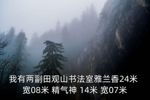 我有兩副田觀山書法室雅蘭香24米 寬08米 精氣神 14米 寬07米