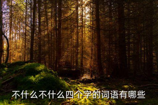 不什么不什么四個字的詞語有哪些