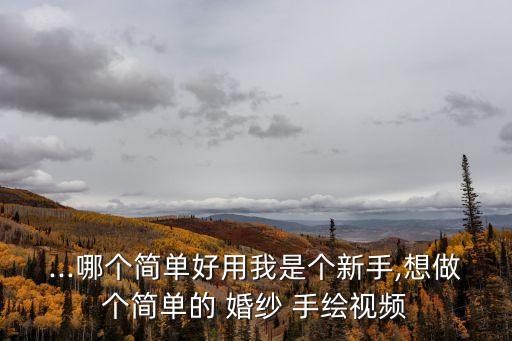 手繪婚紗,第一集:如何制作手繪動畫?