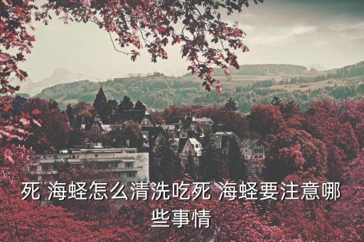 海蟶,吃死海需要注意什么?