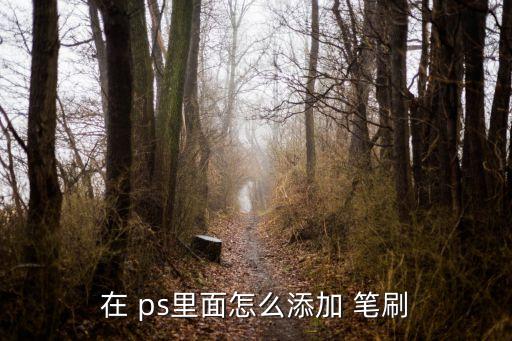 ps怎么導入筆刷,如何導入ps文件?步驟一文看懂