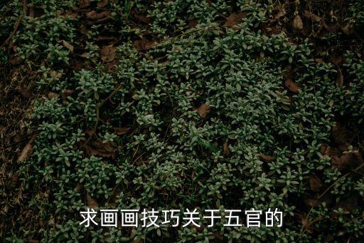 求畫畫技巧關于五官的