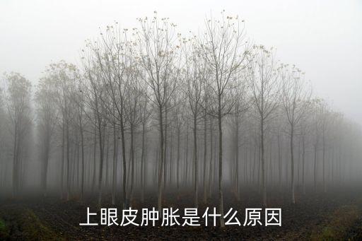 上眼皮腫脹是什么原因