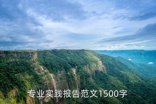 專業實踐報告范文1500字