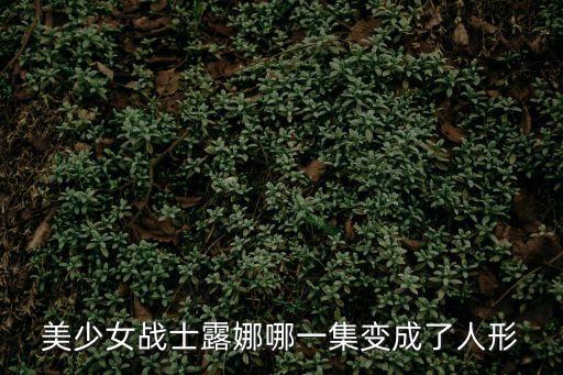 美少女戰(zhàn)士露娜哪一集變成了人形
