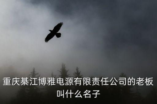 重慶綦江博雅電源有限責任公司的老板叫什么名子