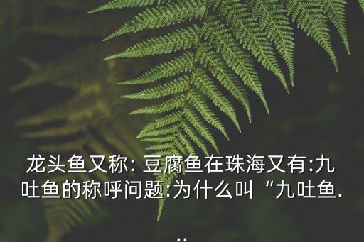 龍頭魚又稱: 豆腐魚在珠海又有:九吐魚的稱呼問題:為什么叫“九吐魚...