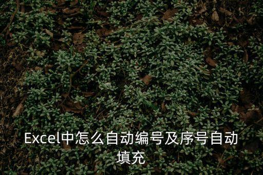 Excel中怎么自動編號及序號自動填充