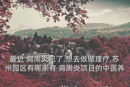 最近 肩周炎犯了,想去做做理療,蘇州園區有哪家有 肩周炎項目的中醫養...