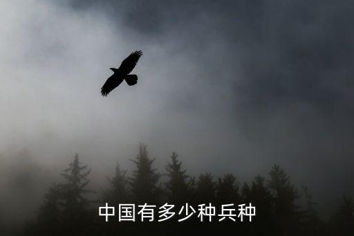 中國有多少種兵種