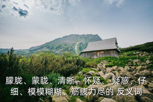 疑惑反義詞,糊涂是一種諺語，其反義詞主要包括清晰明確