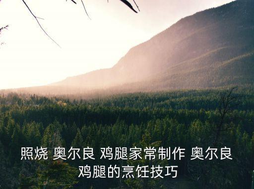 奧爾良雞腿的做法,奧爾良雞腿怎么做?