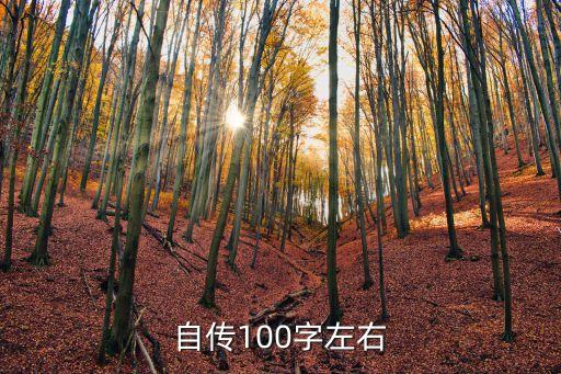自傳100字左右