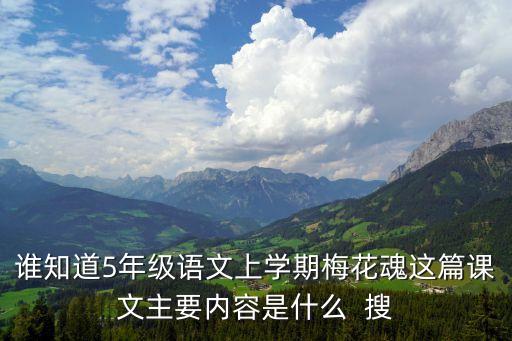 誰知道5年級語文上學期梅花魂這篇課文主要內容是什么  搜