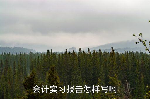 會計實訓報告，會計專業實習報告
