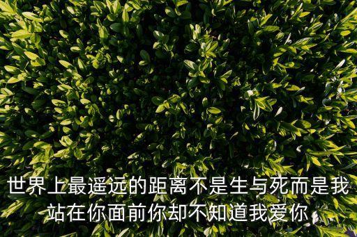 不了了知，我知道遇見你不容易 錯過了 會很可惜我不希望余生都是回憶 想余