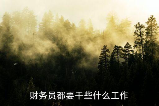財務員都要干些什么工作