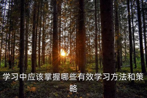 學習中應該掌握哪些有效學習方法和策略