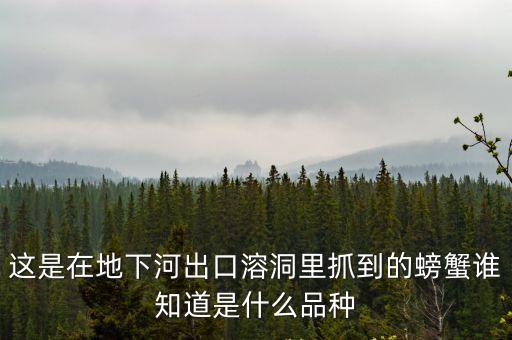 這是在地下河出口溶洞里抓到的螃蟹誰知道是什么品種