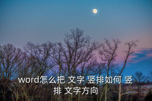 word怎么把 文字 豎排如何 豎排 文字方向