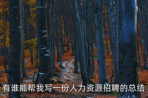 有誰能幫我寫一份人力資源招聘的總結