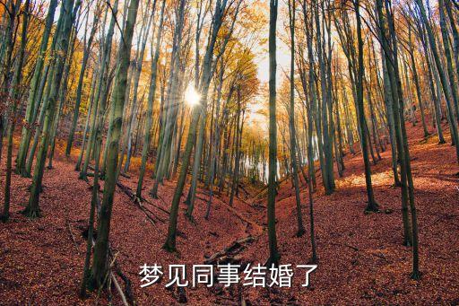 夢(mèng)見(jiàn)同事結(jié)婚了
