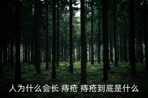 什么是痔瘡,女性患痔瘡發病率高于男性