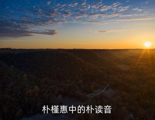 樸槿惠中的樸讀音