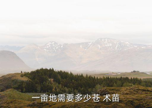 術苗,東北地區種植蒼術苗需要5000-5000株術苗