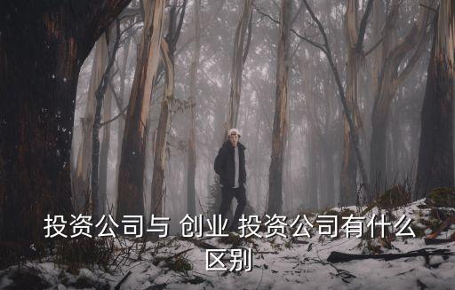  投資公司與 創業 投資公司有什么區別