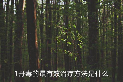 1丹毒的最有效治療方法是什么