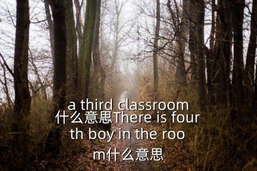 a third classroom什么意思There is fourth boy in the room什么意思